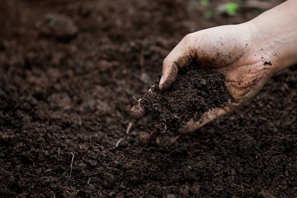 Soils on your small farm