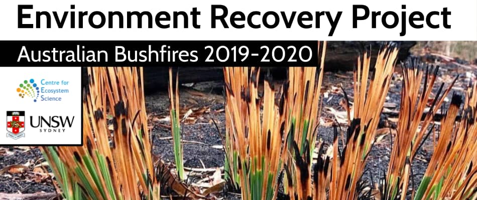 Call for citizen scientist photos on recovery of the environment following bushfire