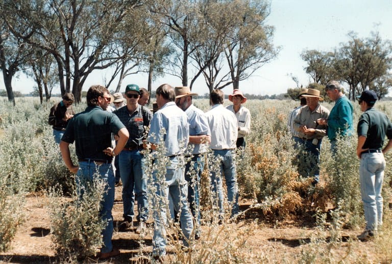 Case Study 41 - Strontian Road Landcare Tackle Salinity
