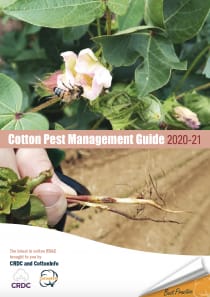 Cotton Pest Management Guide 2020-21