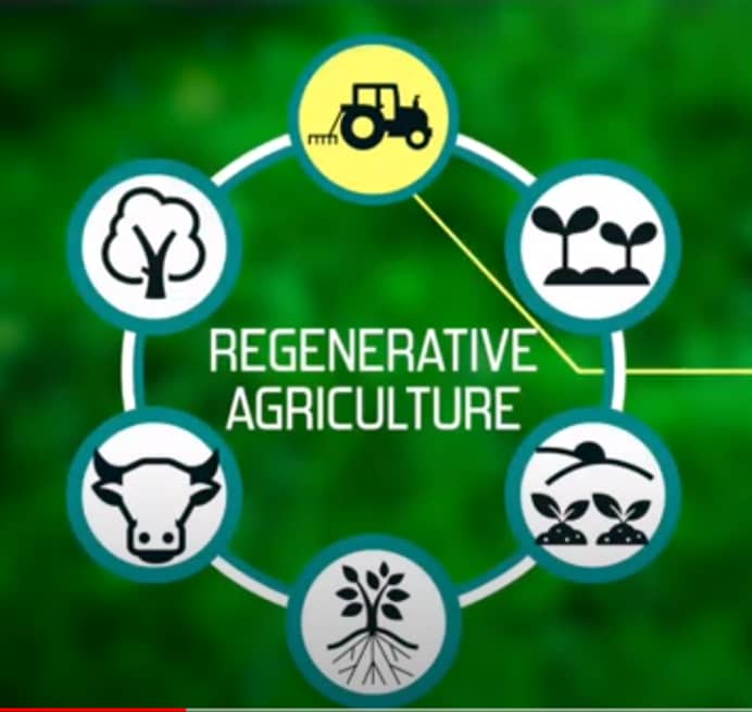 The key principles of regenerative agriculture