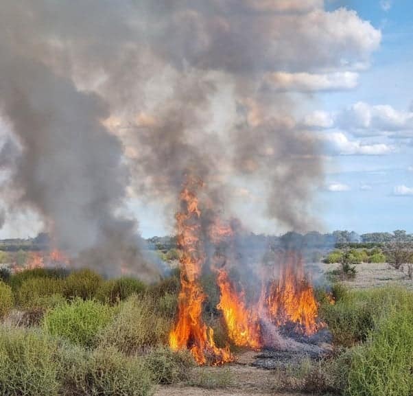 Bushfire preparedness: Protecting your farm and livestock